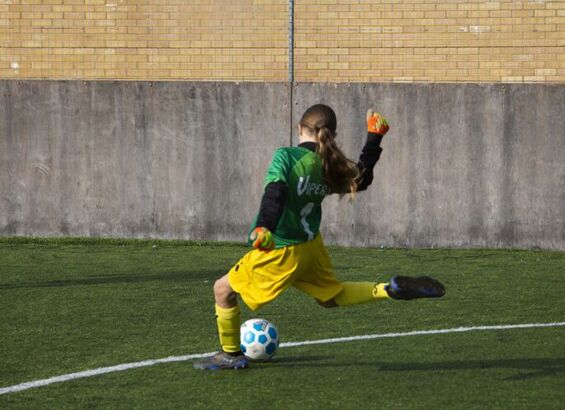 Danes Educational Trust football cup